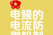 电鳗放电的原理是什么？电鳗放电对人体有害吗？