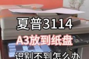 解决复印机纸盒故障的方法（如何应对复印机纸盒损坏问题）