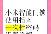 智能门锁的设置方法是什么？如何确保安全性？
