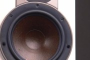DALI达尼Rubicon6C混合有源音箱（探索音乐新境界）