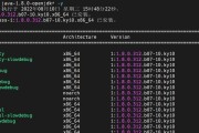 远程麒麟银河服务器的方法是什么？操作中可能遇到的问题有哪些？
