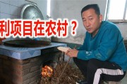 如何在农村致富工作？有哪些有效的方法和策略？