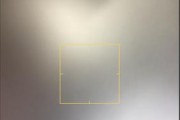 探究苹果相机拍照为何显得丑陋（以苹果相机拍摄的照片不尽人意）