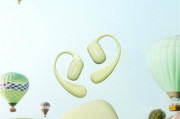 华为手机专用的适配耳机有哪些？它们的特点是什么？