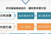 营销技巧与方法分享（揭秘成功营销的关键步骤和实用技巧）