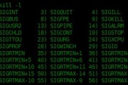 深入解析Linux下的ping命令（探究ping命令的使用方法及原理）
