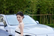 问界手机远程拍照如何操作？操作步骤是什么？