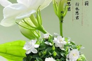 如何让茉莉花生长得更旺盛？养茉莉花的秘诀是什么？