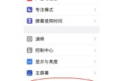苹果手机震动反馈功能如何？有哪些设置选项？