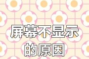电视屏幕无画面无声音是什么原因？如何解决？