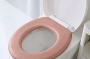 坐便器坐垫的使用指南（舒适、卫生、简便）