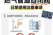 燃气灶灯不亮不能打火，可能出现的问题及解决方法（探索燃气灶灯不亮不能打火的原因，解决你的燃气灶问题）