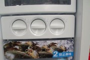 LG冰箱漏电问题解决方案（分析原因和采取措施）