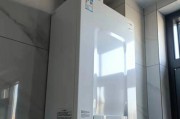贝雷塔壁挂炉F05故障原因及解决方法（探究贝雷塔壁挂炉F05故障的原因和有效解决方法）
