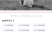 免费照片尺寸修改技巧大揭秘（轻松掌握照片尺寸调整的关键技巧）