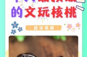文玩核桃挑选品相的技巧是什么？如何鉴别核桃的品质？