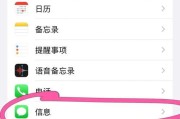 苹果手机如何查看副号？操作步骤详细说明？
