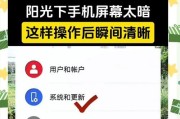 手机屏幕暗调不亮的问题解决方法（如何解决手机屏幕暗调不亮的问题）
