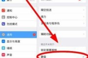 如何设置iPad屏幕旋转（教你轻松旋转iPad屏幕）