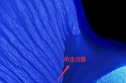 小米手机NFC功能开启教程（如何开启小米手机的NFC功能）