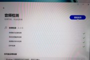 扬声器无声的原因及解决方法（分析扬声器正常但无声的情况）