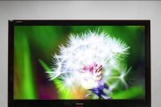 电视机屏幕颜色变了怎么回事（解析电视机屏幕颜色变化的原因及解决方法）