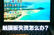 笔记本触摸板失灵解决方法汇总（轻松应对常见问题）