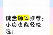 键盘日常使用哪种轴体最佳？轴体选择对打字体验有何影响？