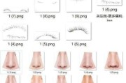 新手如何使用Photoshop制作证件照？证件照制作流程有哪些常见问题？