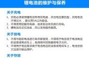 童年电池充电器的正确使用方法是什么？使用中常见问题如何解决？
