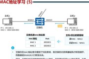 mvs怎么显示好几个以太网？设置方法是什么？