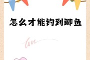 怎么才能钓到鲫鱼？最佳钓鲫鱼技巧与装备推荐是什么？