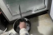 如何正确处理不用的冰箱冷冻（解决问题的关键在于妥善保管）