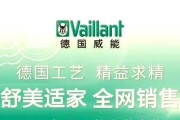 壁挂炉点检代码的重要性（保障壁挂炉安全运行的关键一环）