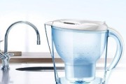 解决净水器开水腥味的方法（消除净水器开水中的异味）