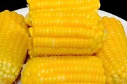如何煮出完美的玉米？掌握正确的煮玉米方法能提升口感吗？