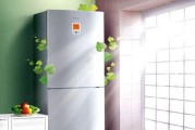 夏普冰箱E5故障原因和维修办法解析（了解夏普冰箱E5故障的根源）