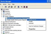 Windows查看显卡命令详解（快速了解您的显卡信息及性能参数）