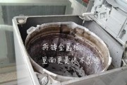 洗衣机清洁大揭秘（神奇方法教你轻松清除洗衣机污垢）