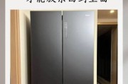 冰箱洗后插电的最佳时间？（冷藏冷冻食品如何合理安排？）