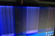 显示器出现两条横条问题的原因及解决方法（显示器故障检修指南——解决双横条问题）