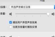 电脑没声音，原因及解决方法（全面分析电脑无声音问题）