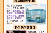 宠物兔子幼崽怎么养？常见问题有哪些解决方法？