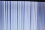 电视开机闪一下就黑屏问题解析与解决方法（揭秘电视开机闪黑屏原因，一分钟教你解决）