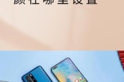 华为手机权限管理中为何缺少相机选项？