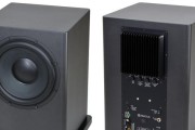 不啸叫的音箱有哪些品牌？它们的优势是什么？