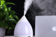 空气加湿器的作用与危害（了解空气加湿器的优势和潜在风险）