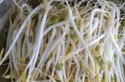 净水器中的豆芽——消除污染，保护健康（揭秘净水器中豆芽的功效与原理）