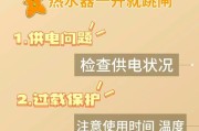 电热水器漏电插头跳闸的解决方法（保障家庭安全，及时维修才是关键）