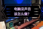 电脑无声解决方法（探索电脑无声的原因及解决方案）
